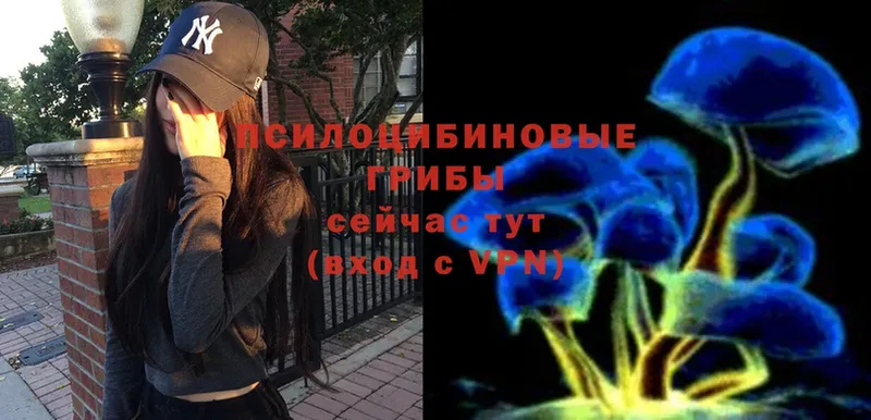 Галлюциногенные грибы Magic Shrooms Чистополь